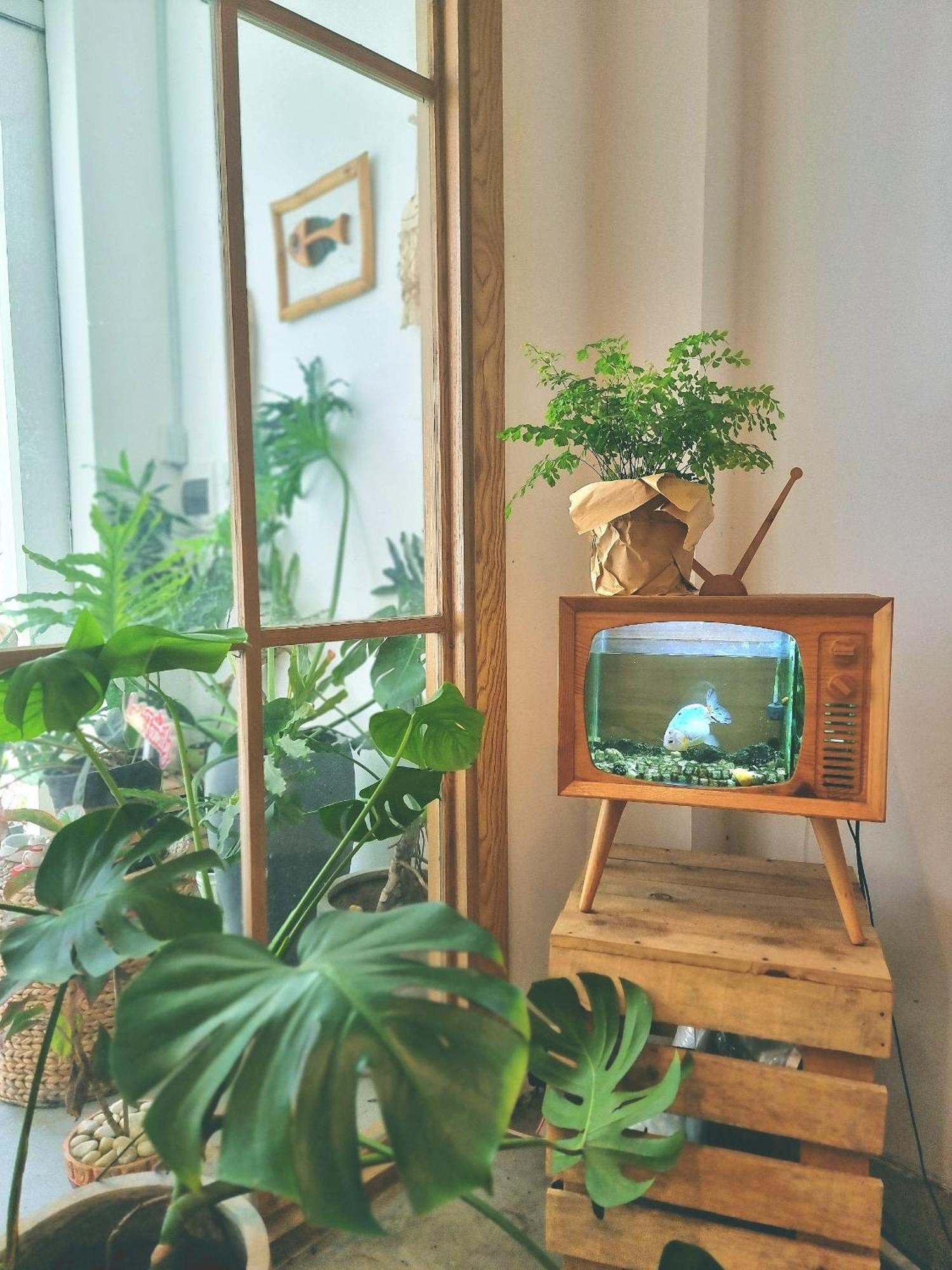 דירות Lada'S House דה נאנג מראה חיצוני תמונה